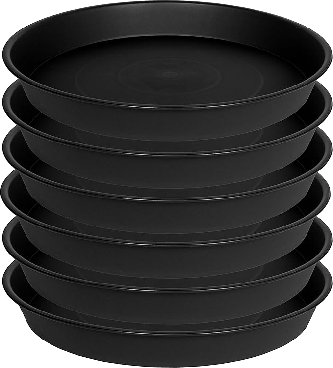 6 Pack of 8 inch Plant Saucer, Heavy Duty Plastic Plant Water Tray, Pebble Tray - Image 8