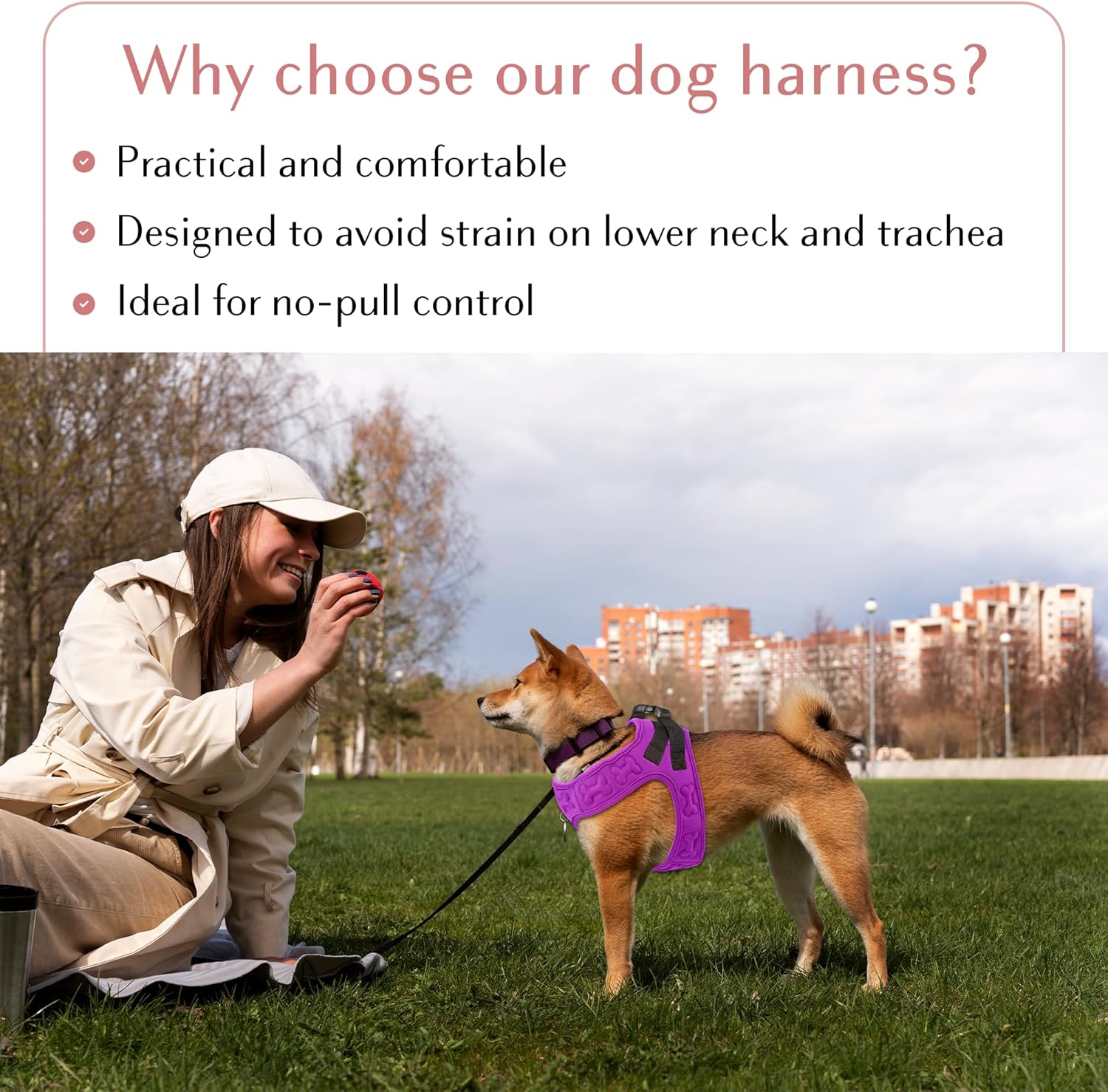 Comfort fit Step-in Dog & Puppy Harness - Comfortable All Weather Dog Vest Harness: Adjustable, Soft Padded, Easy to Put-on for Small, Medium-Sized Dogs.