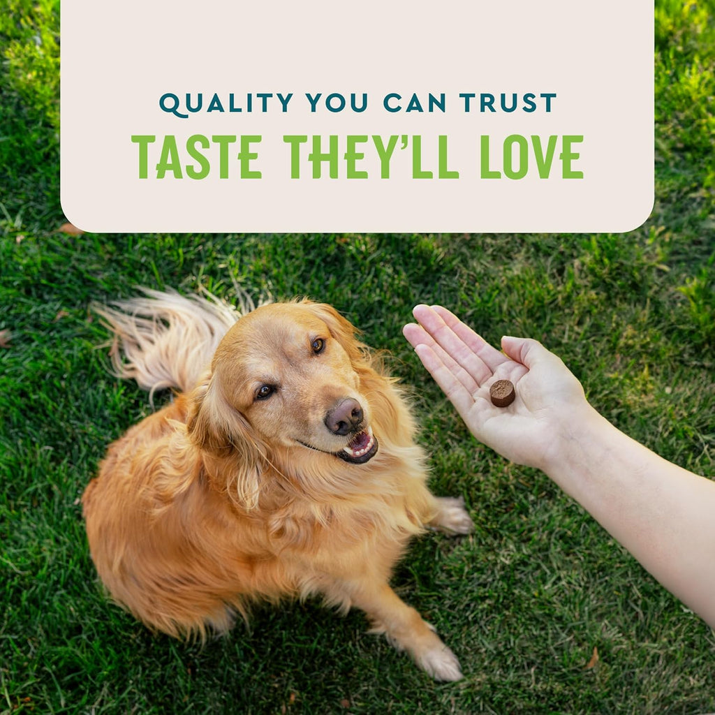 VetIQ Probiotic Supplement for Dogs, Digestive Support for Dogs, Nourishes Gut Bacteria and Supports Bowel Function, Hickory Smoke Flavor, Made in The USA, 60 Count