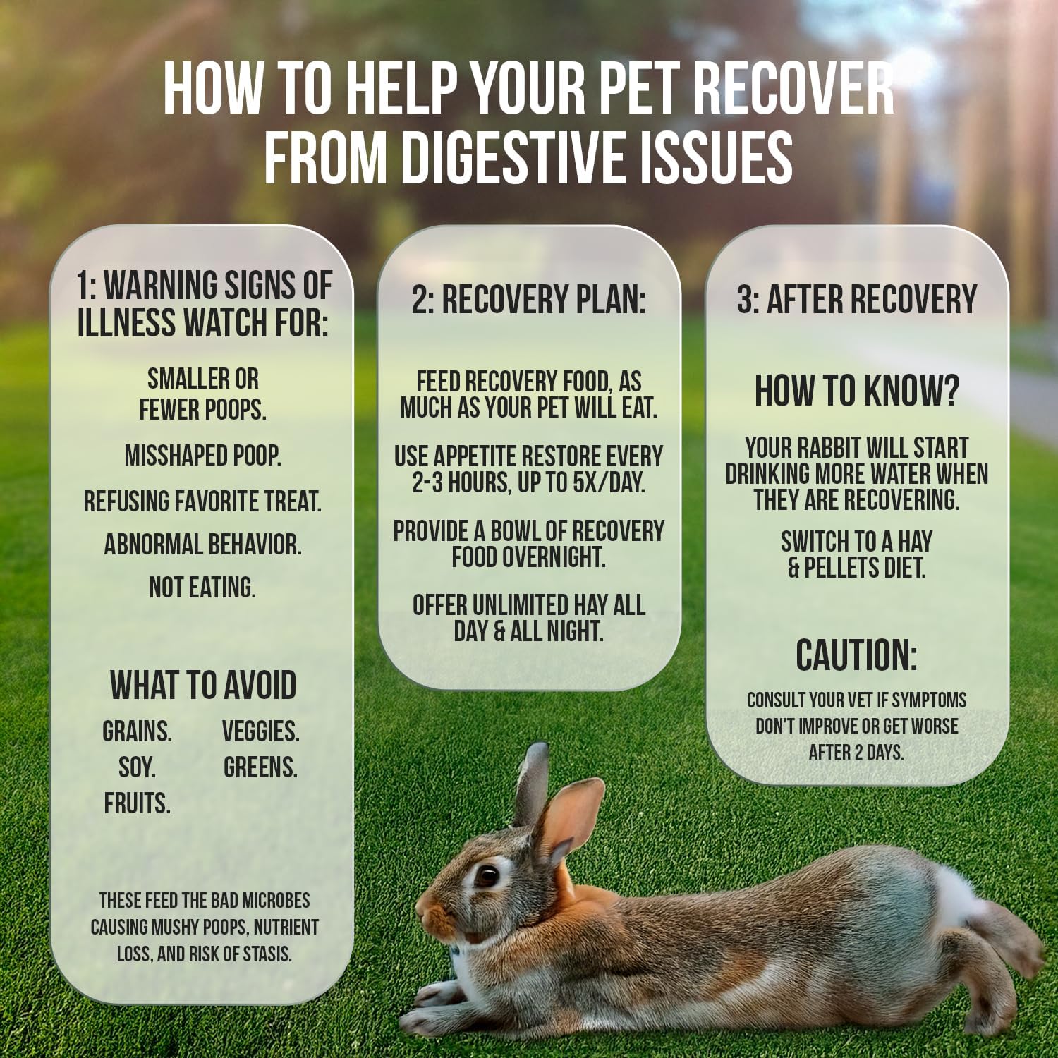 Sherwood Pet Health Rabbit Emergency kit and Bulk Recovery Food (200 Grams)