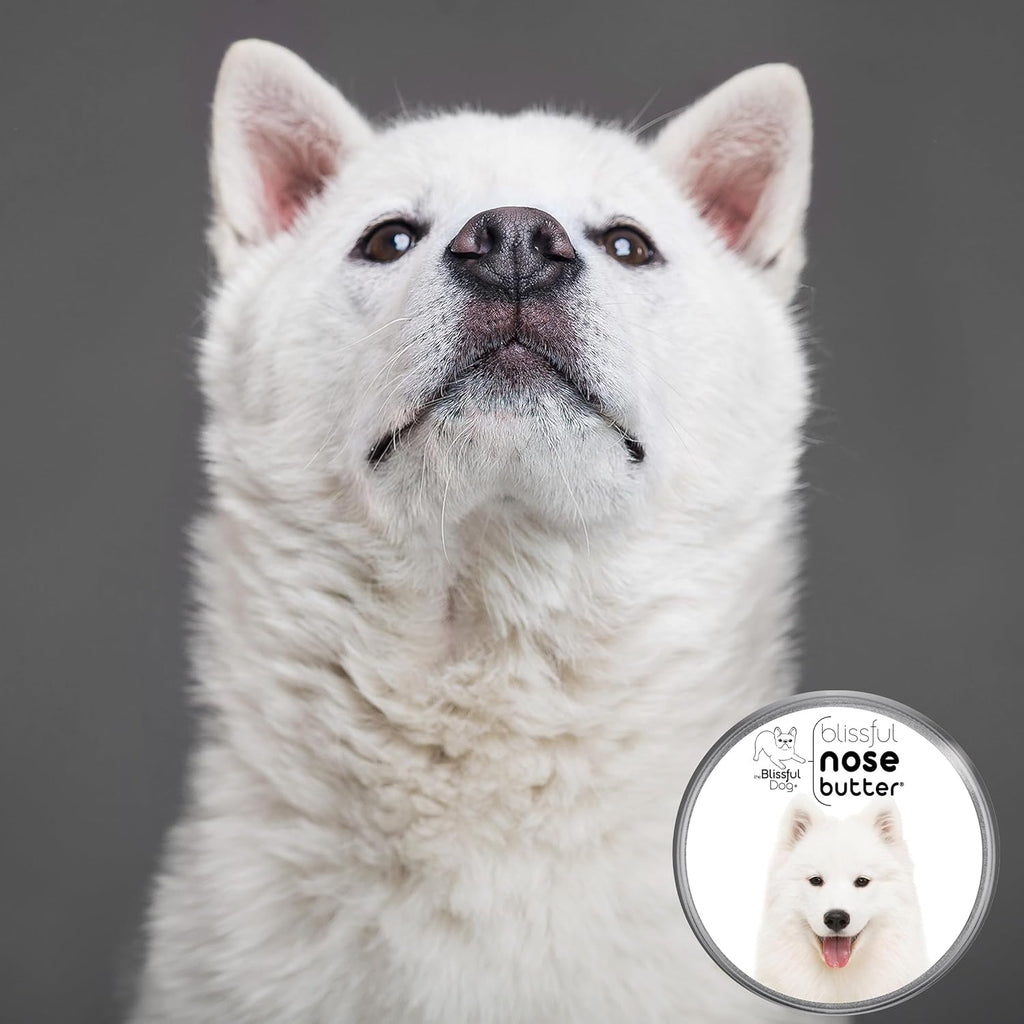 The Blissful Dog Samoyed Unscented Nose Butter - Dog Nose Butter, 4 Ounce