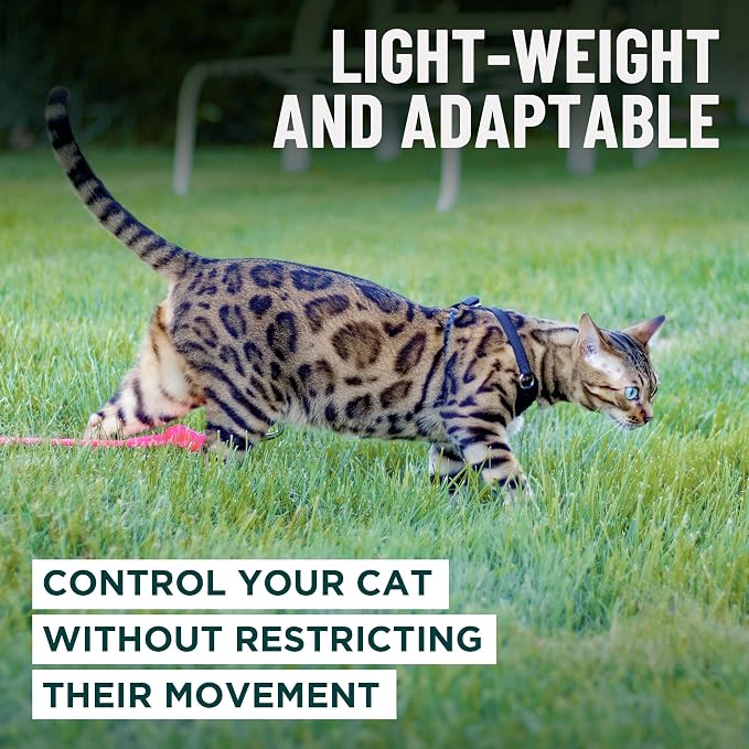 Houdini™ Escape Proof Cat Harness and Leash Set by OutdoorBengal – Black - Image 7
