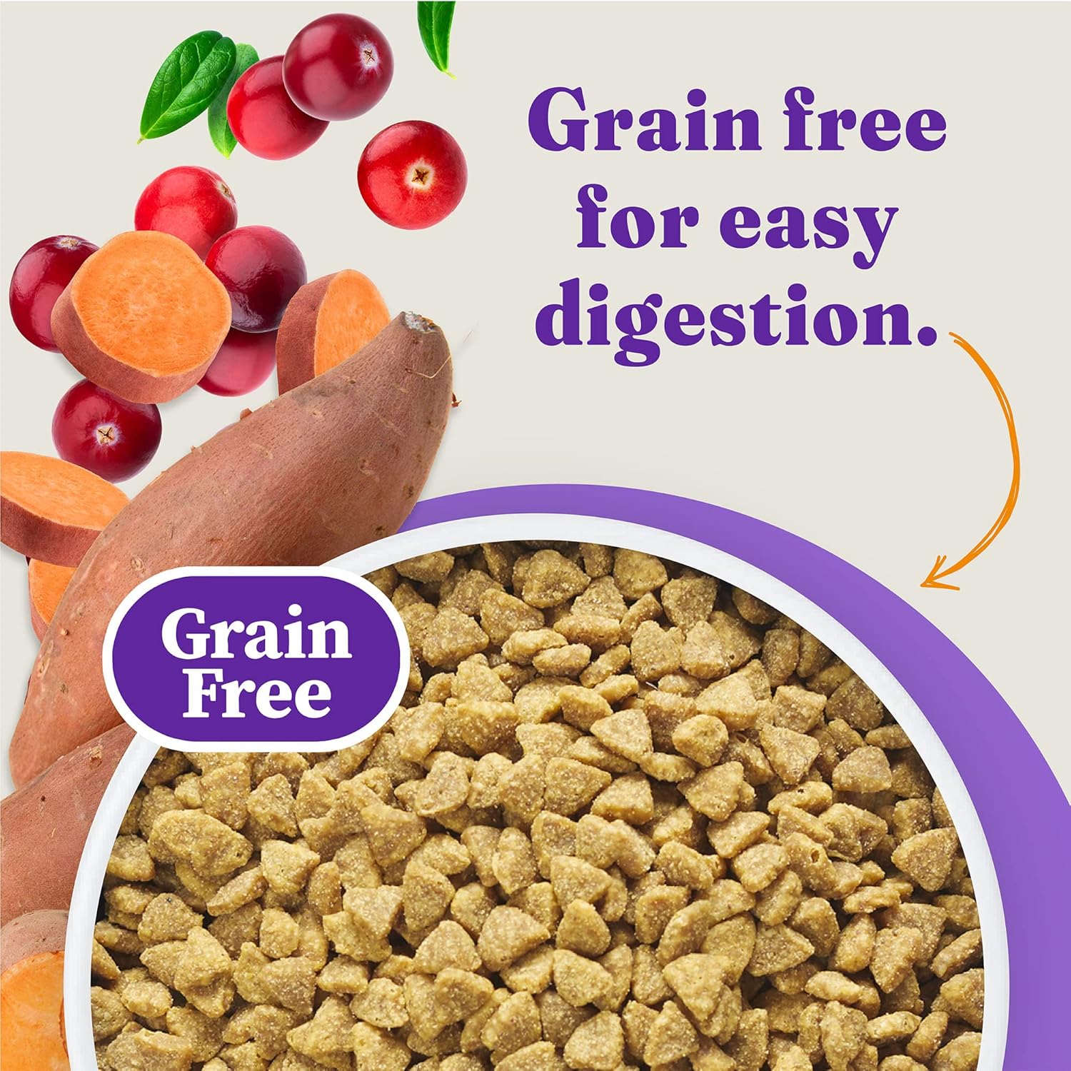 Halo Holistic Cage Free Chicken Cat Food, Grain Free Dry Cat Food, For Healthy Weight Support, Kibble for Indoor Cats, 6 lb Bag