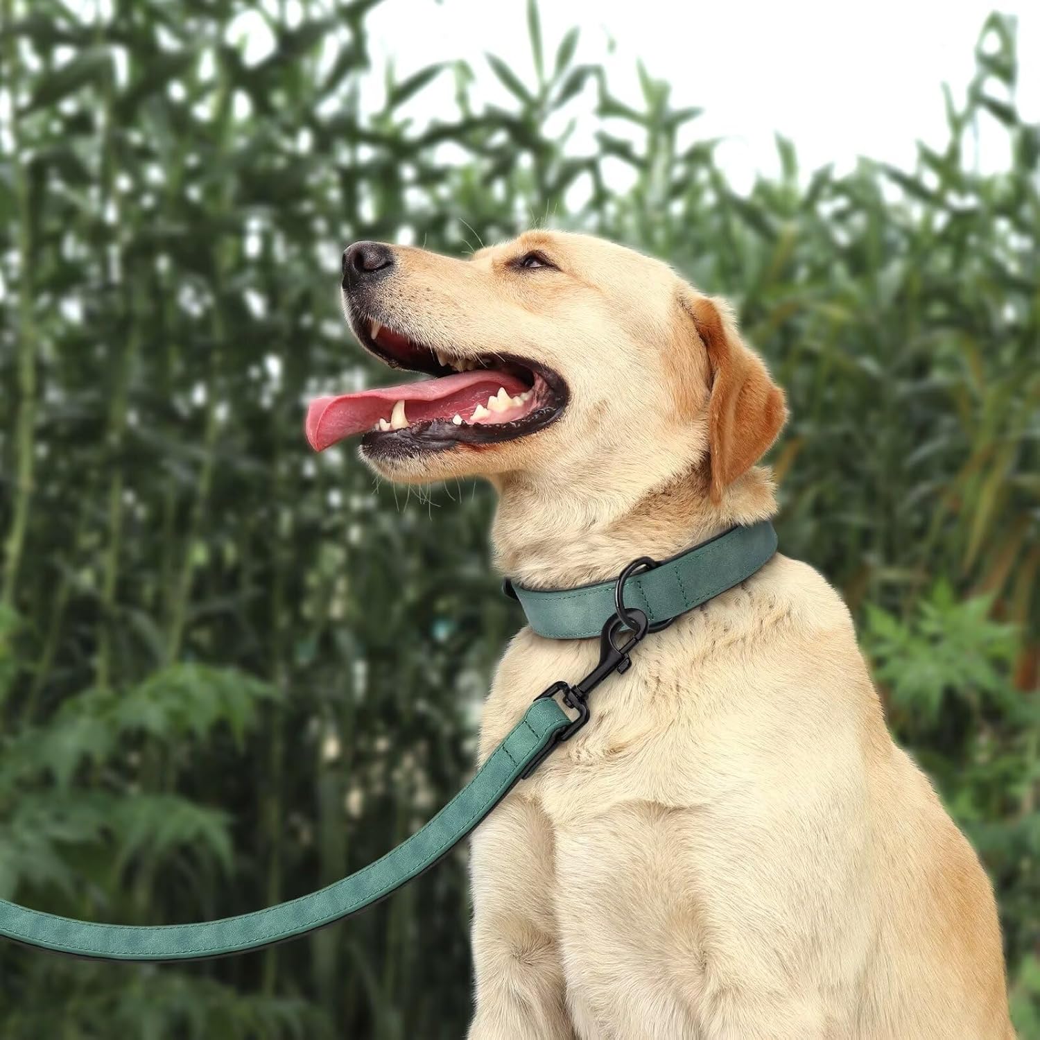 Didog Soft Padded Leather Dog Collar and Leash Set, Adjustable Dog Lead and Collar Set with Metal Buckle, Breathable Pet Collars with 4FT PU Leather Leash for Small Medium Dogs, Green, M