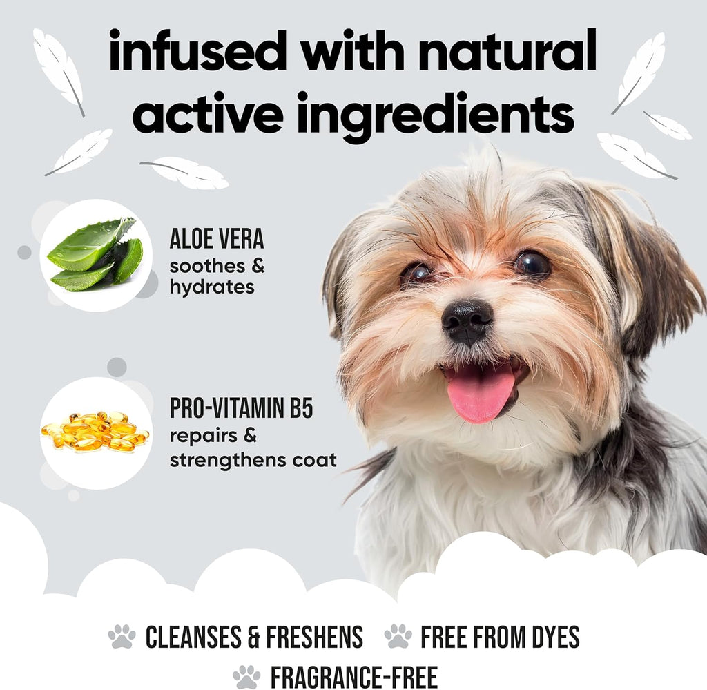 Derma Sensitive Dog Shampoo by Buddycare | Dry Skin & Itchy Skin Relief for Smelly Dogs | Deep Cleansing for Dogs Puppy Sensitive Skin | Dog Shampoo & Conditioner | with Aloe & Vitamin B5 (16.90oz)