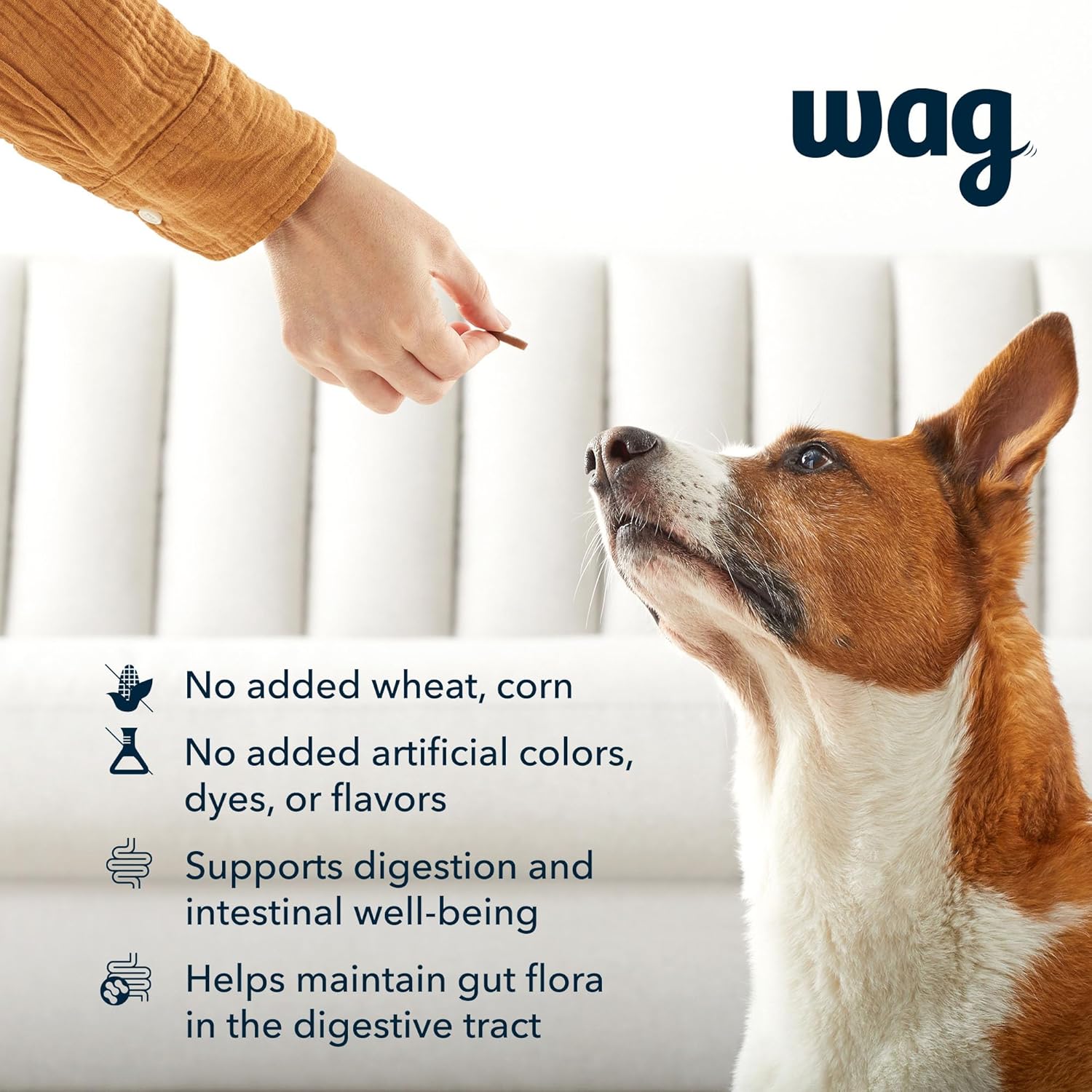 Amazon Brand - Wag Probiotic Supplement Daily Chews for Dogs, Supports Digestion and Gut Health, Natural Duck Flavor, 90 count