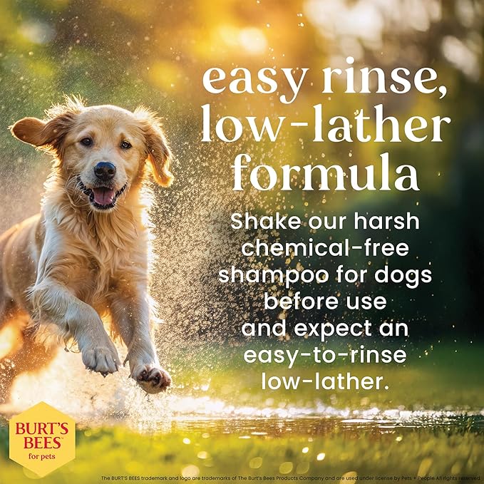 Burt’s Bees for Pets Oatmeal Dog Shampoo - Image 4