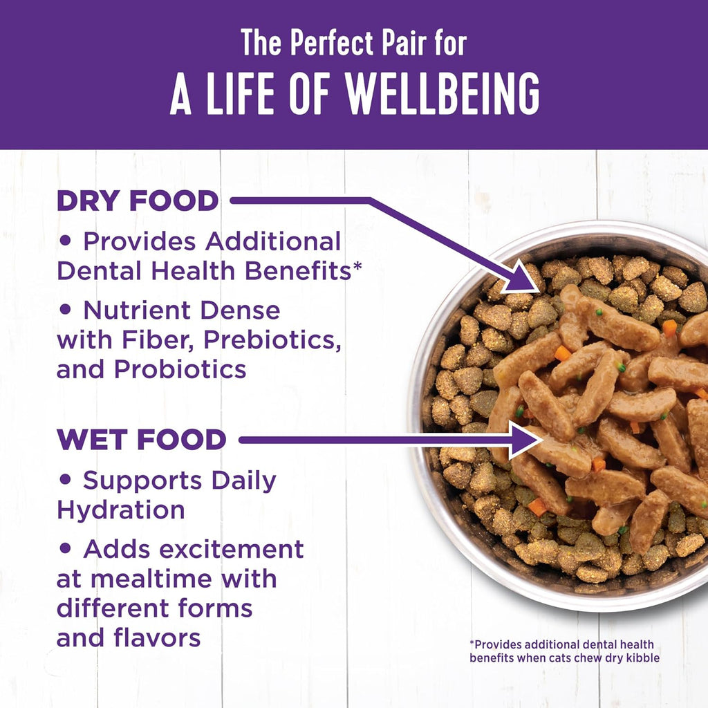 Wellness Complete Health Sliced Adult Wet Cat Food, Natural, Protein-Rich, Grain Free, 5.5 Ounce, 24 Pack, (Turkey & Salmon Entrée)