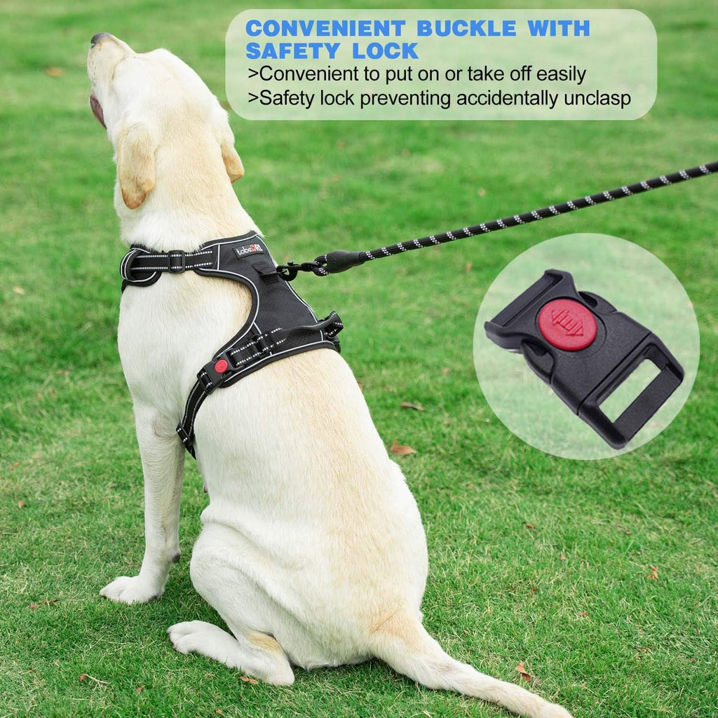 No Pull Dog Harness Adjustable Reflective Oxford Easy Control Medium Large Dog Harness with A Free Heavy Duty 5ft Dog Leash (M (Neck: 14.5"-20.5", Chest: 22"-28"), Purple Harness+Leash)
