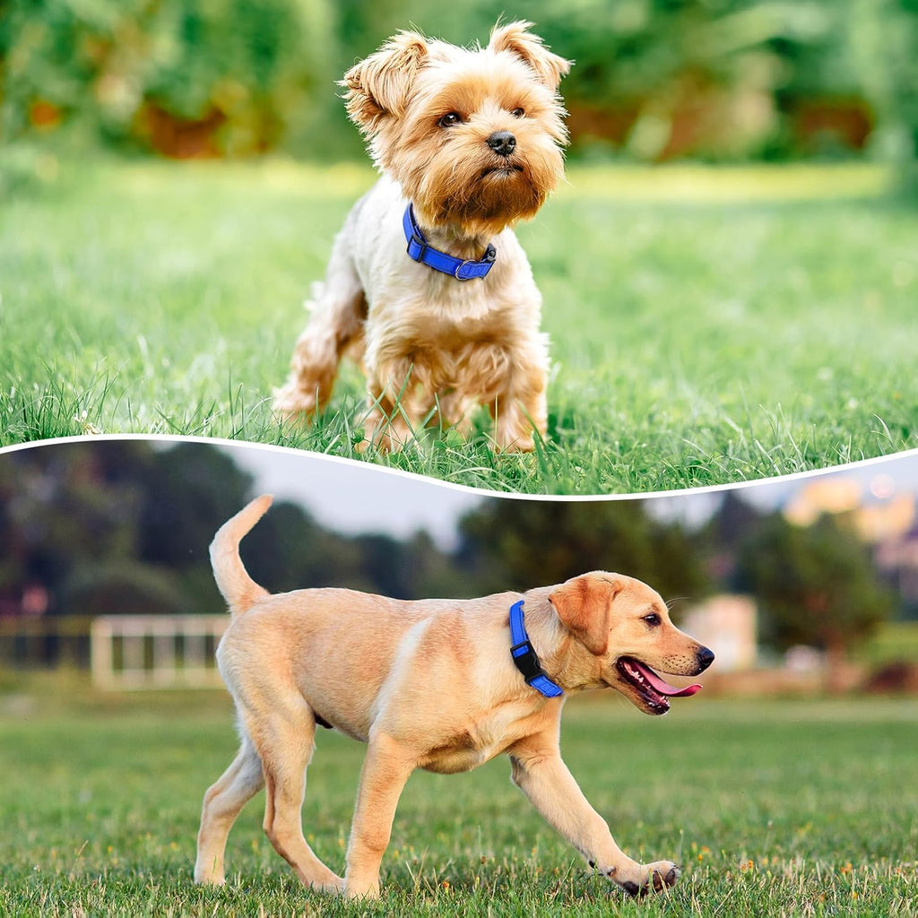 Reflective Dog Collar Padded with Soft Neoprene Breathable Quick Release Basic Dog Collars for Puppy Small Dogs Boy Girl Blue