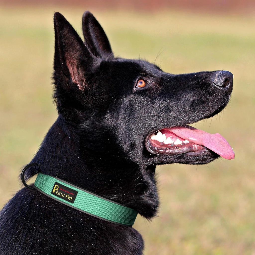 Plutus Pet Tactical Dog Collar, Reflective, Adjustable Heavy Duty Dog Collar, Soft Padded and Comfortable, for Small Medium and Large Dogs (Teal, M)