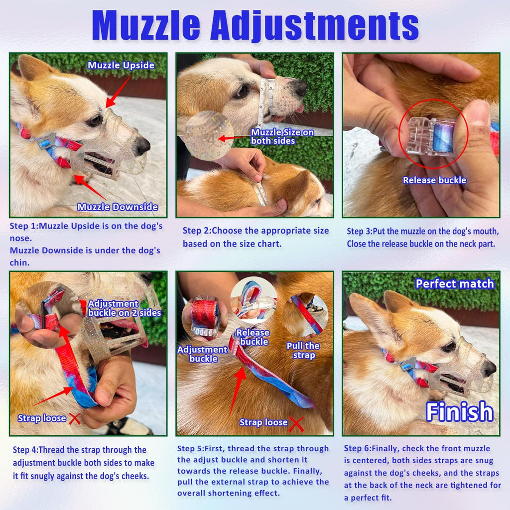Basket Muzzle Allows Panting Drinking, Anti Biting Chewing, Suitable for Grooming Trimming Training, Transparent, Size 2