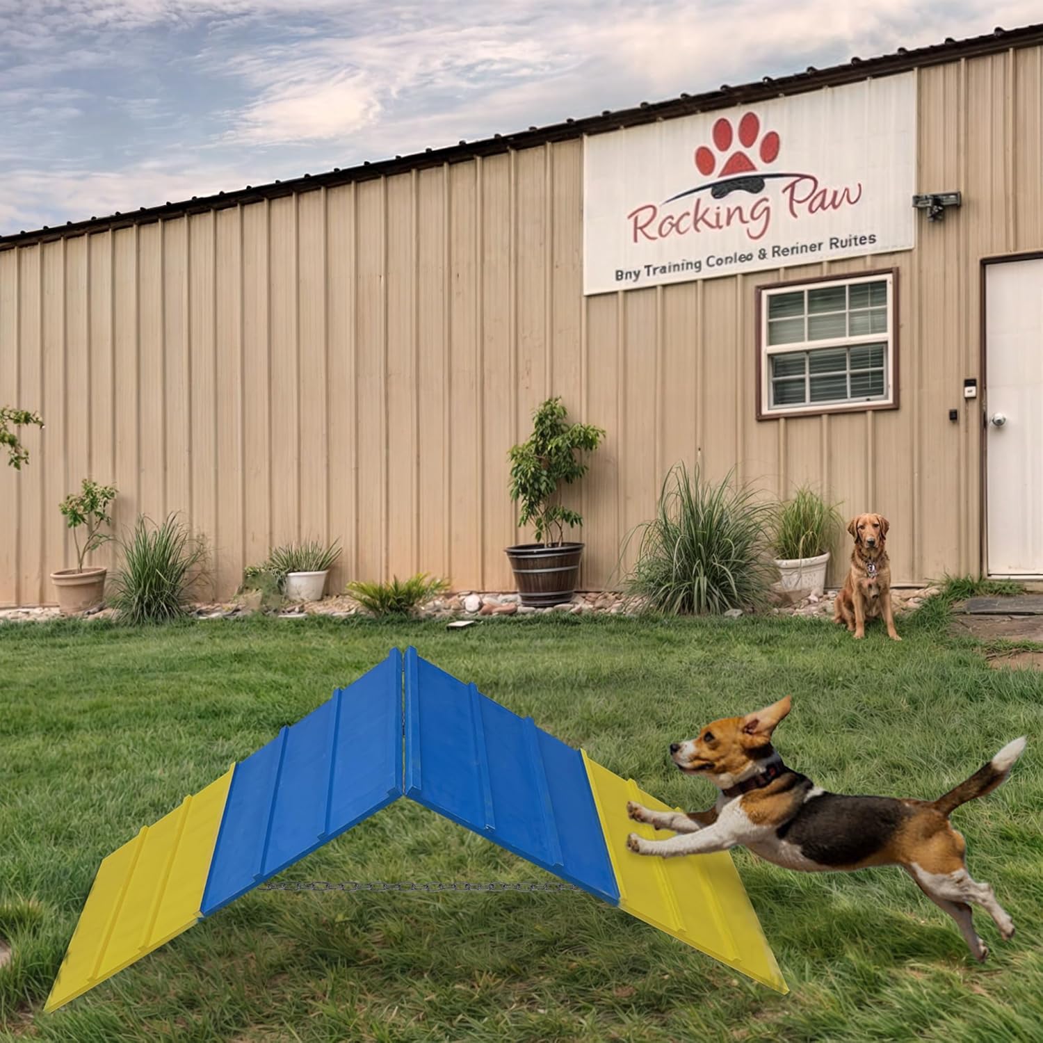 Dogs Agility Course Backyard Set, Dog Agility Equipment, Non-Slip Dog Agility A-Frame, 84” x 24” Large Size