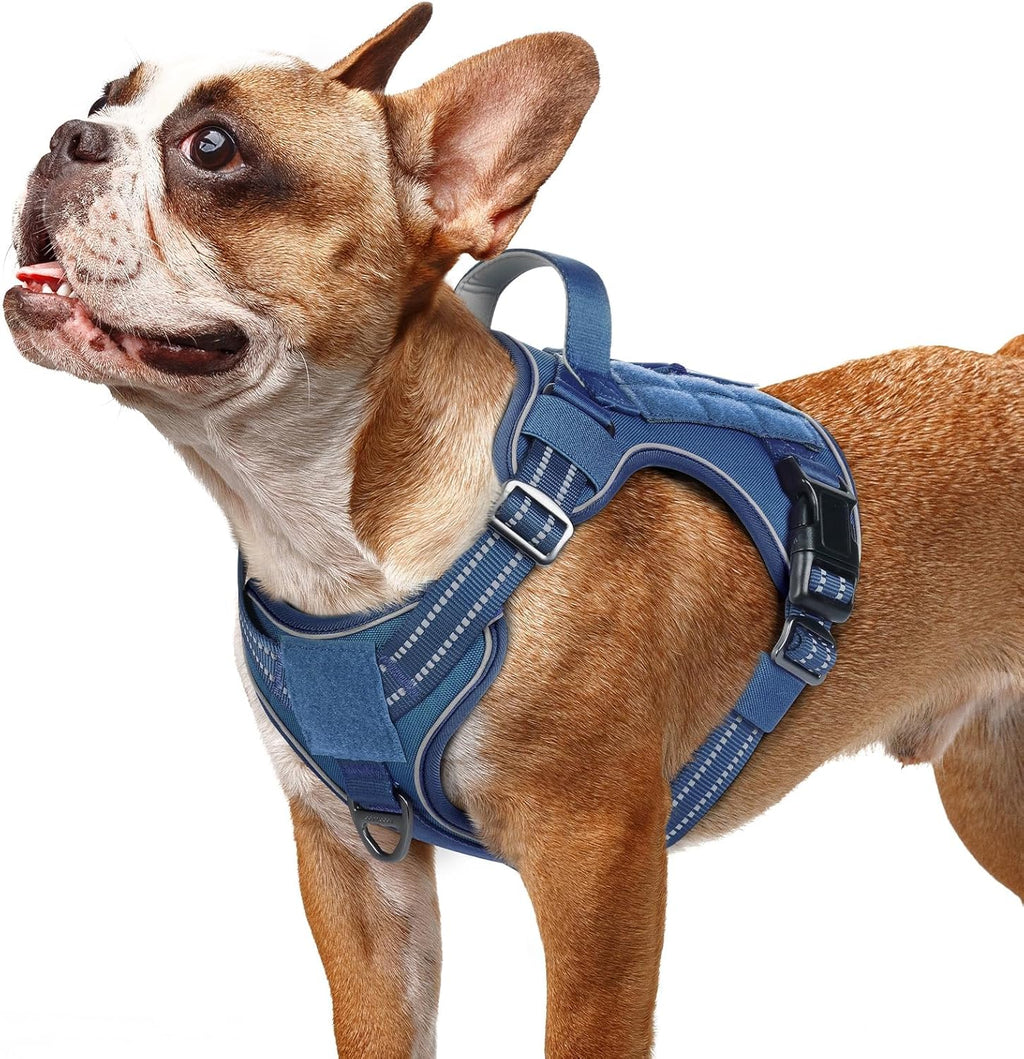 rabbitgoo Dog Harness Small Sized No Pull, Tactical Service Pet Vest with Molle and Control Handle, Adjustable and Reflective Military Harness for Easy Walking and Training, Blue, S