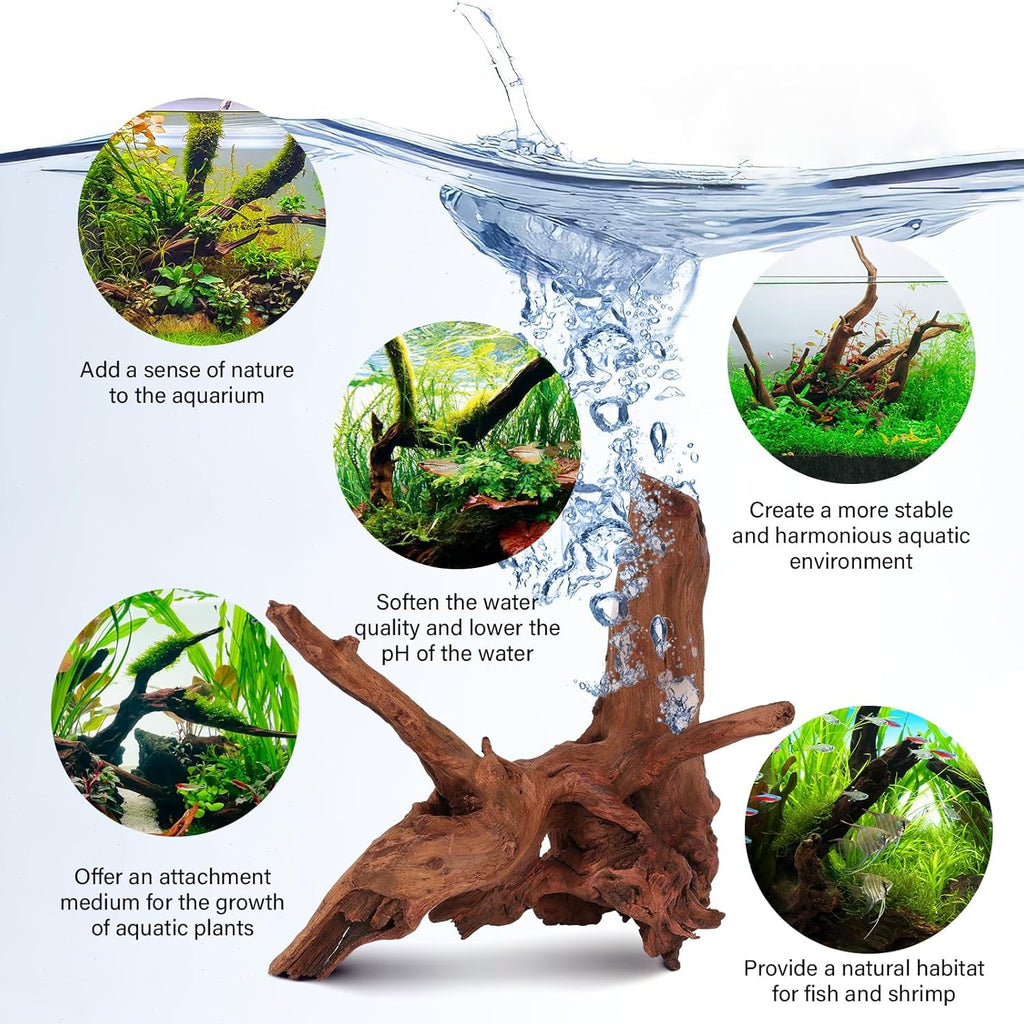 Driftwood for Aquarium Natural Aquarium Wood for Aquascaping Fish Tank Decorations Reptile Tank Decor (Natural Driftwood 6-10" (Pack of 3)+Protein Cotton)
