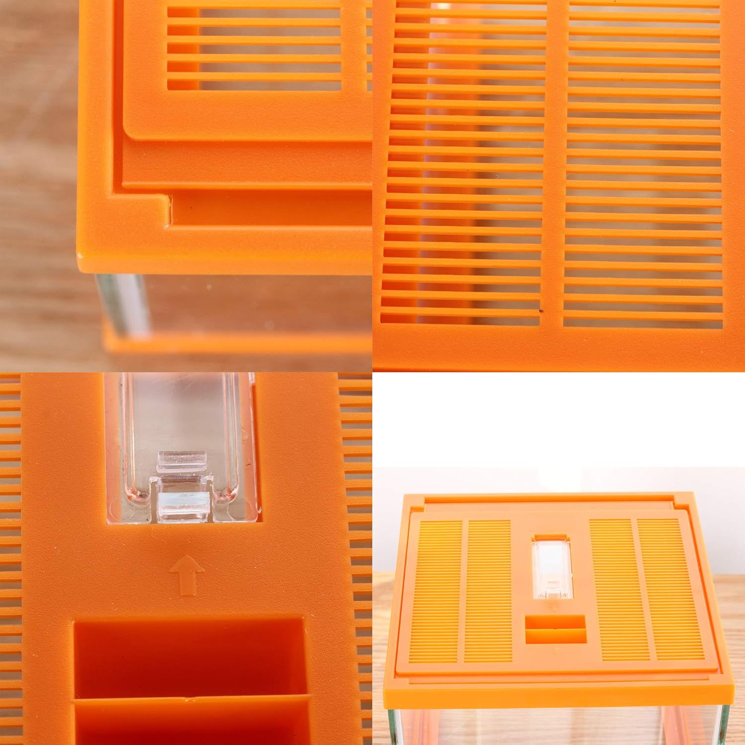 crapelles Reptile Terrarium kit Color Orange Spider Container Tarantula Box cage Gecko Habitat Insect Enclosure pet Tank Frog Carrier Tortoise Snail Container Hermit Crab House Cricket breeding