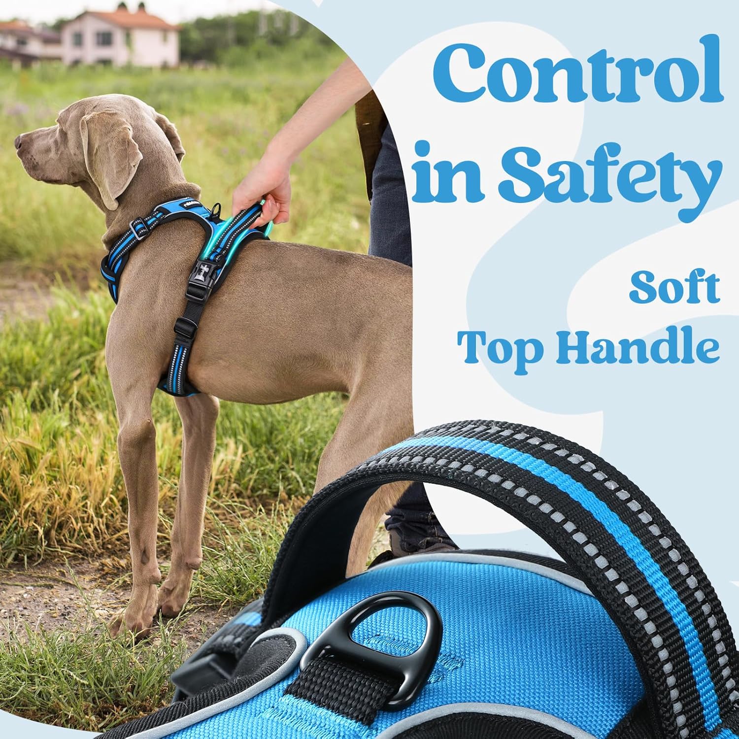 rabbitgoo Dog Harness for Large, No Pull Pet Harness with 3 Buckles, Adjustable Soft Padded Vest with Control Handle, Walking Reflective Pet Vest for Large Dogs, Sky Blue, L