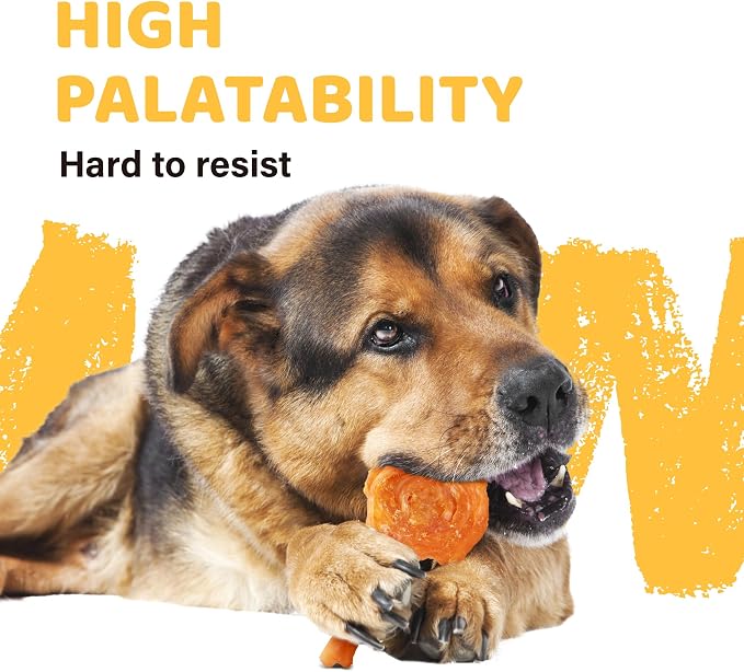 iPaw Turkey Tendons for Dogs 40 Pcs Bulk Pack, 100% Turkey and US Sourced Raw - Image 4