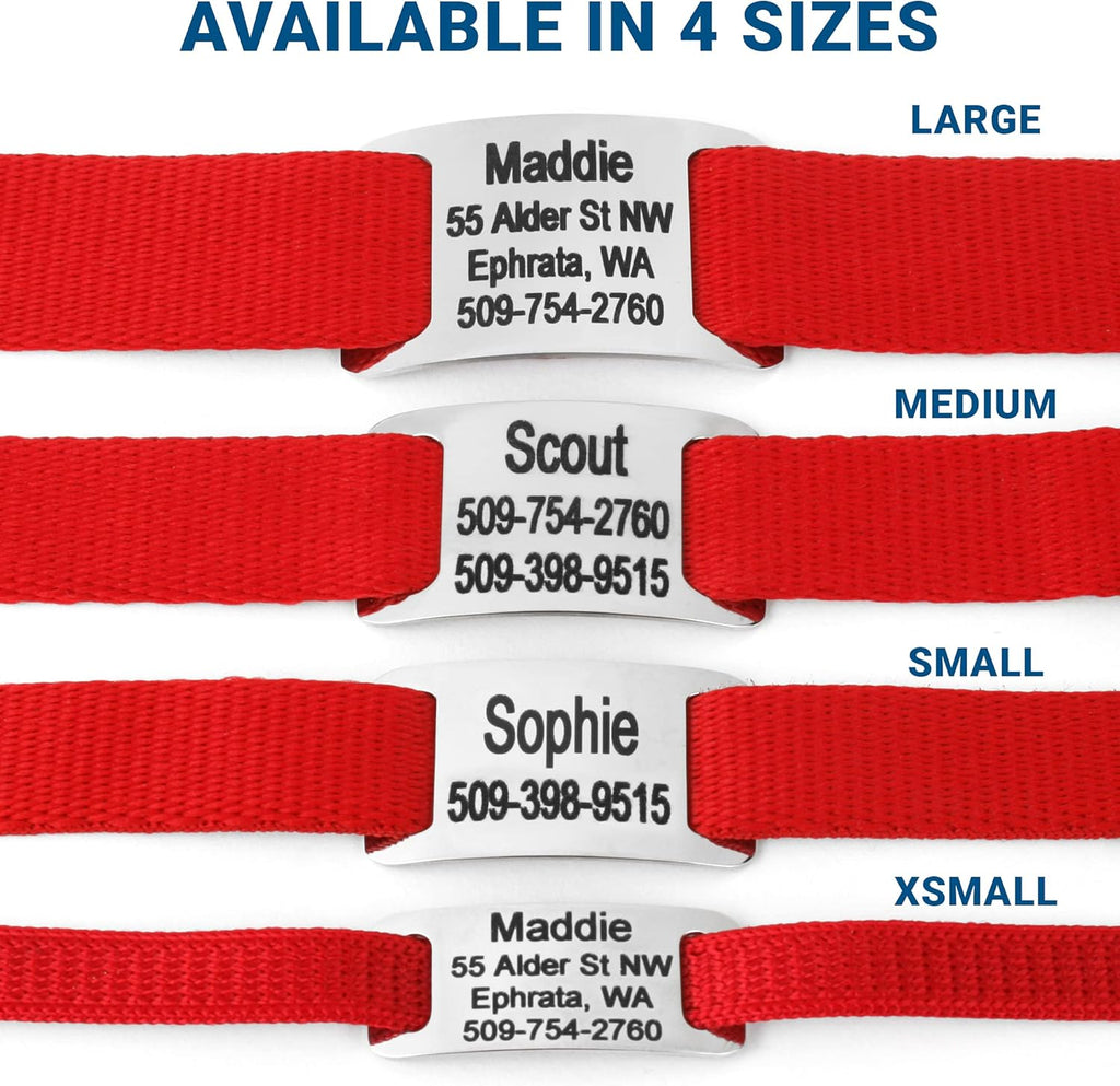 GoTags Personalized Dog Collar with Nameplate, Adjustable Dog Collar with Custom Engraved Slide On Pet ID Tag in Stainless Steel, Silent, No Noise Dog Tag for Large Medium and Small (Red, X-Small)