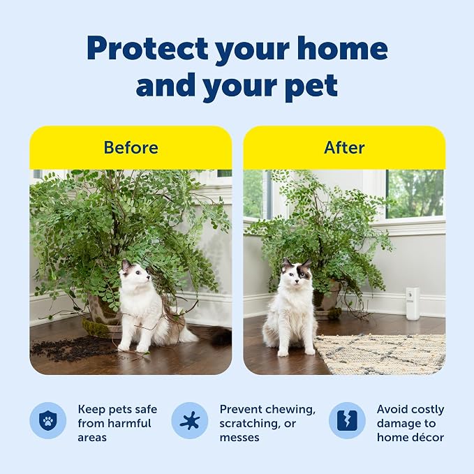 PetSafe SSSCAT Motion Activated Automatic Spray Pet Deterrent - Image 4