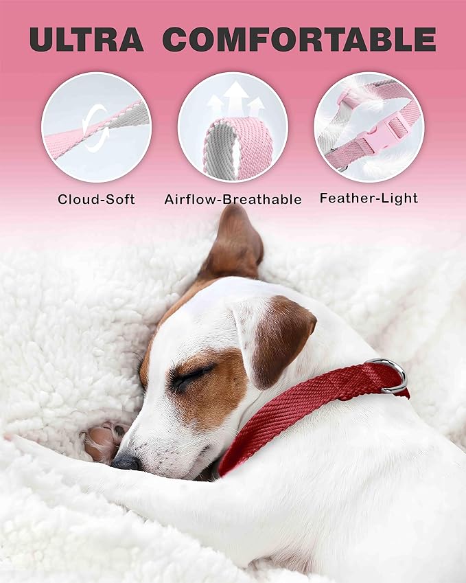 Dynmeow Soft and Breathable Cotton Dog Collar, Durable Adjustable Heavy-Duty - Image 4