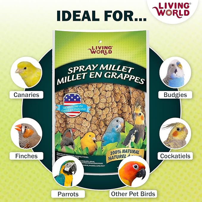 Living World – Millet Spray for Birds, 7 Oz – Premium Treat for Budgies - Image 4