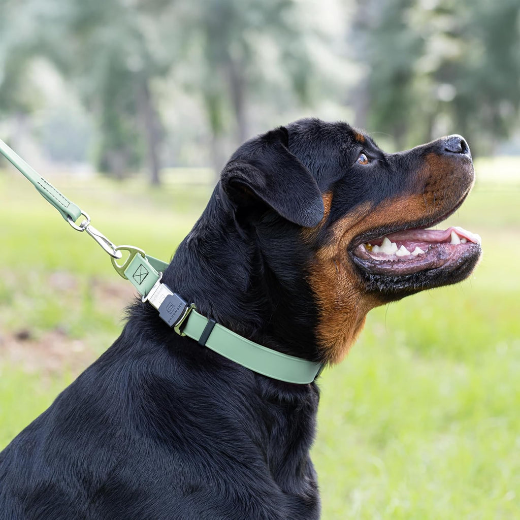 Dogline Biothane Waterproof Dog Collar with Herm Sprenger Stainless Steel Quick Release Buckle – Heavy Duty Tactical Durable Collar for Dogs – Comfortable and Safe Pet Collar, W 1" L 15-25" Sage Green