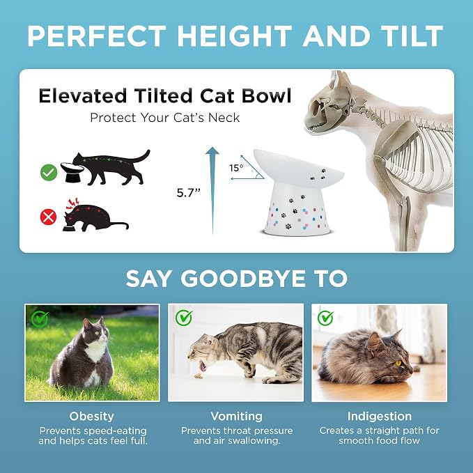 Necoichi Elevated Cat Food Bowl, Whisker-Friendly, Dishwasher & Microwave Safe - Image 5