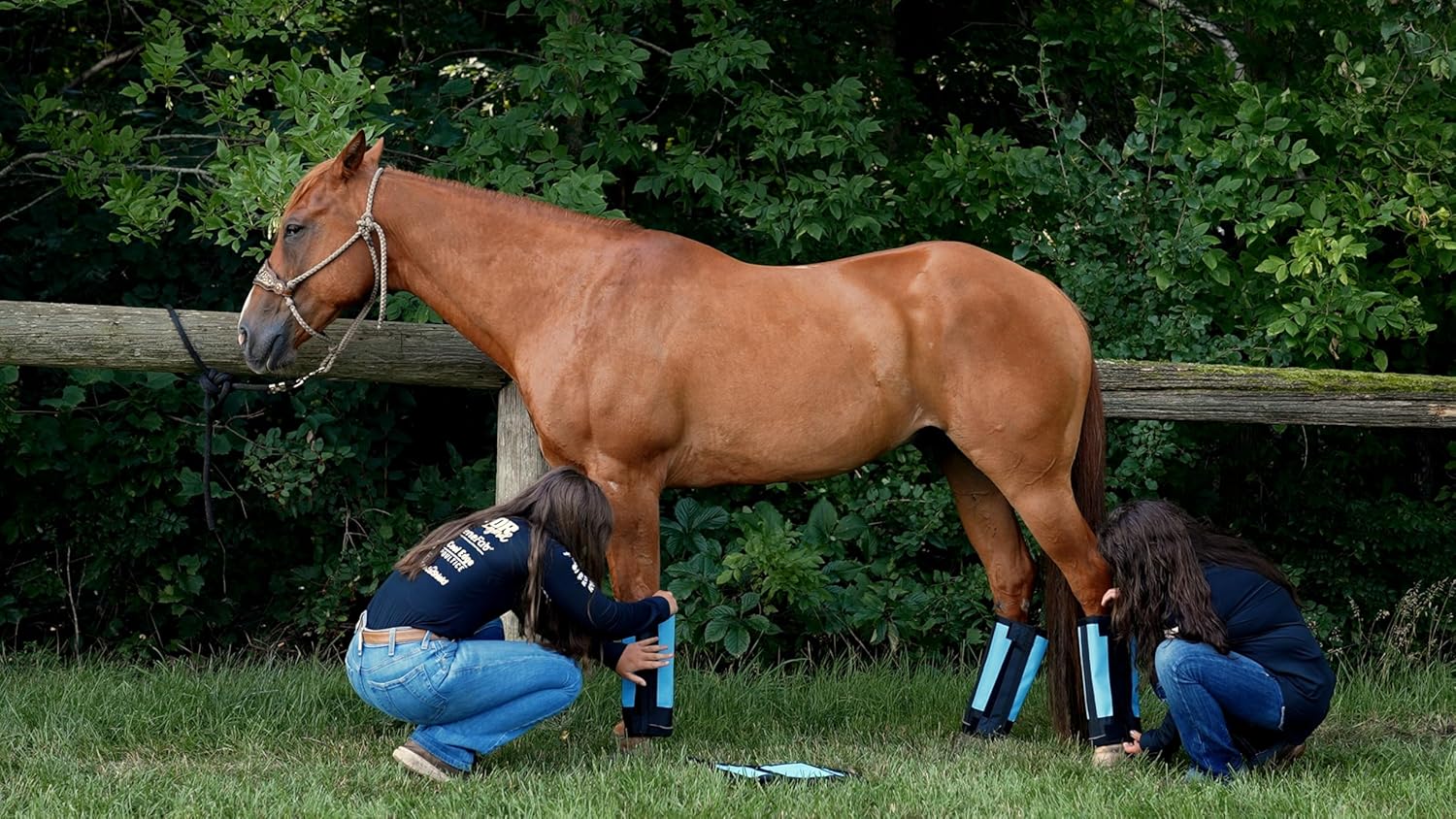 Warrior Fly Boots for Horses - Breathable Mesh Horse Boots for Fly Protection & Leg Comfort - Set of 4 (Knight Warrior, Neon Orange)