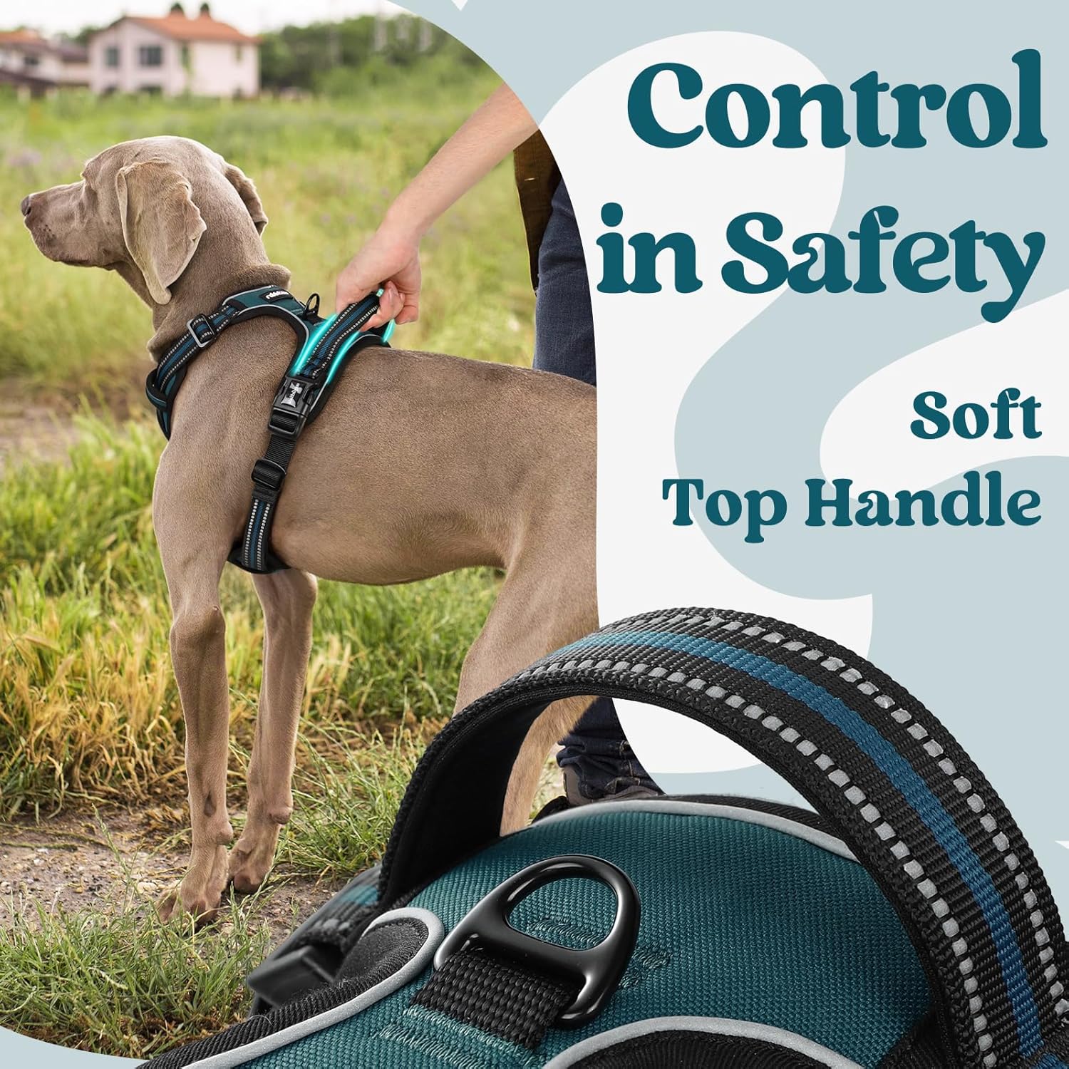 rabbitgoo Dog Harness Medium Sized, No Pull Pet Harness with 3 Buckles, Adjustable Soft Padded Vest with Control Handle, Walking Reflective Pet Vest for Medium Dogs, Blue Coral, M