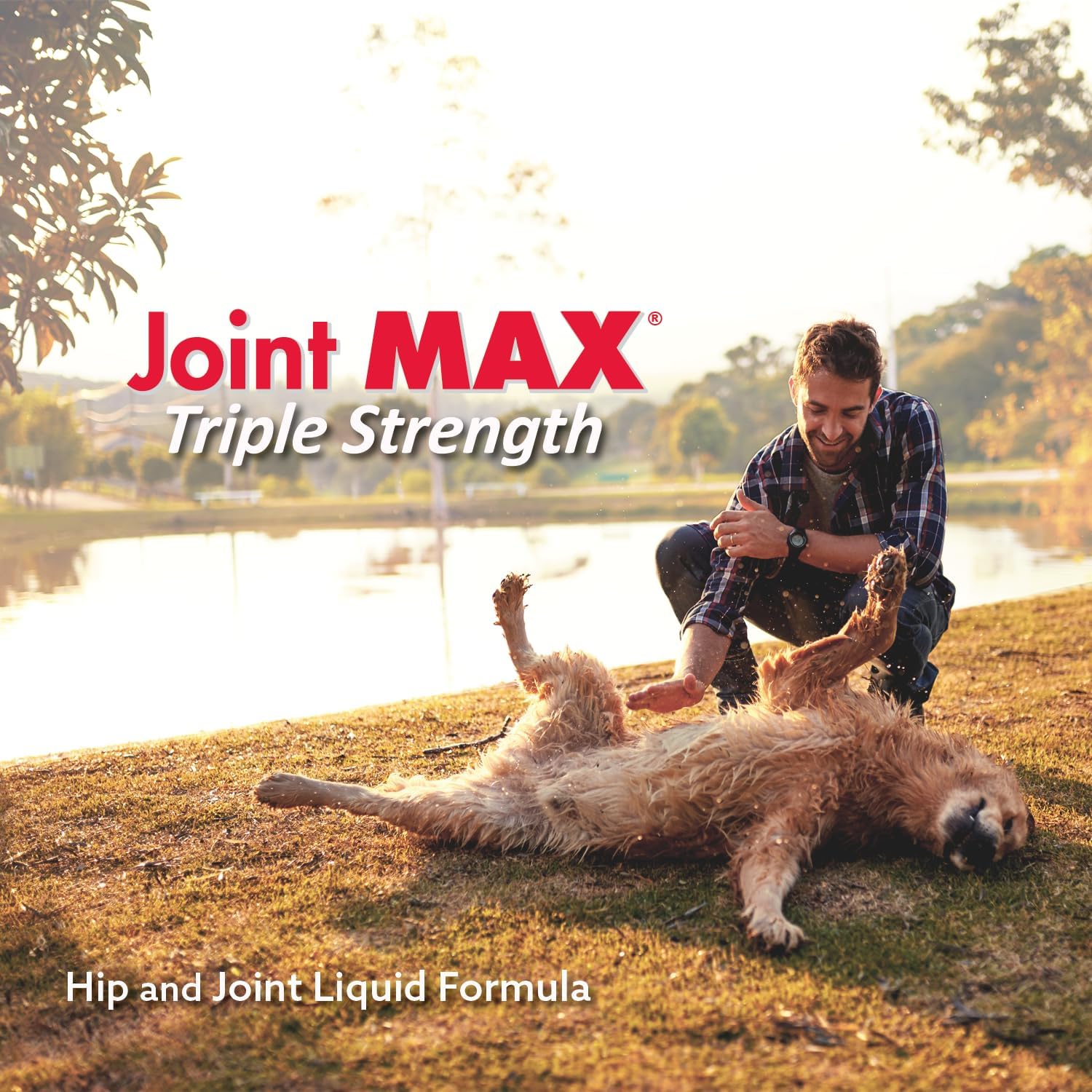Liquid for Dogs - Vitamins, Minerals, Antioxidants - Glucosamine, Chondroitin - Beef Flavor - Maximum Joint Health Supplement for Dogs - 32 fl oz
