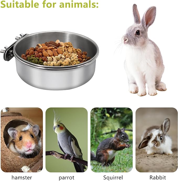 2 Pcs Small Bird Feeding Dish Cups, Parrot Food Bowl Cage - Image 4
