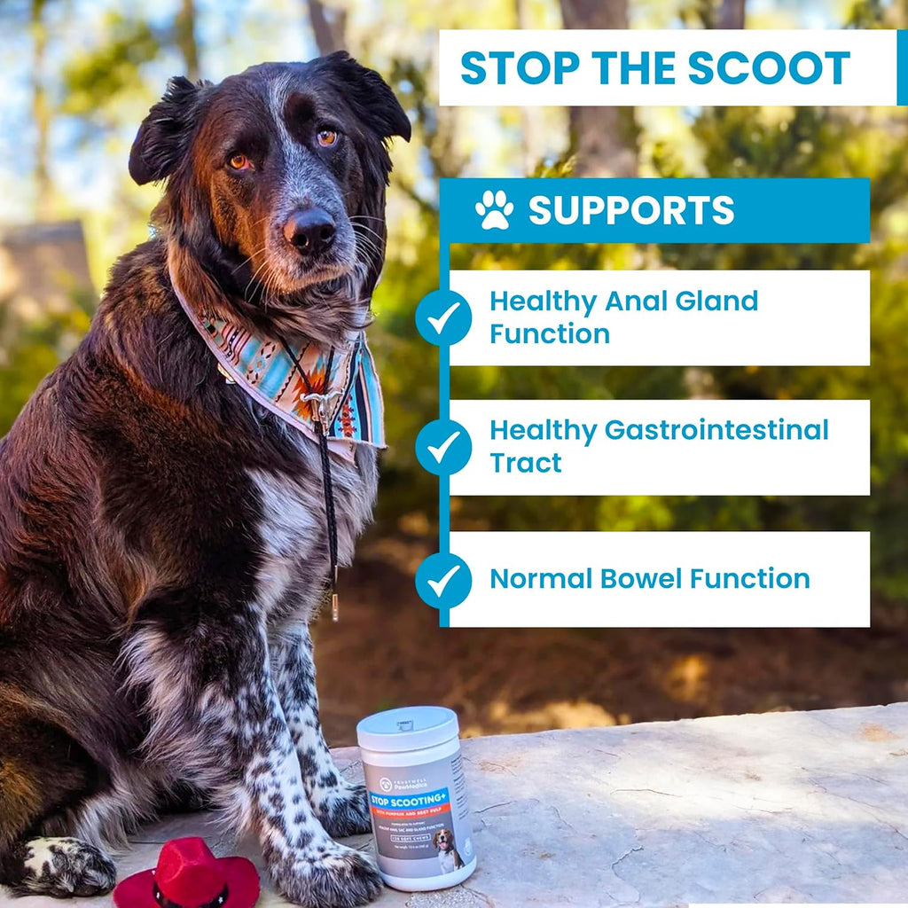 PawMedica Dog Anal Gland Chews to Stop Scoot for Dogs - Anal Gland Dog Constipation Relief - Recommended Dog AnalGland Support Chews Fiber - Fiber Supplement for Dogs (120 Dog Pumpkin Chews)