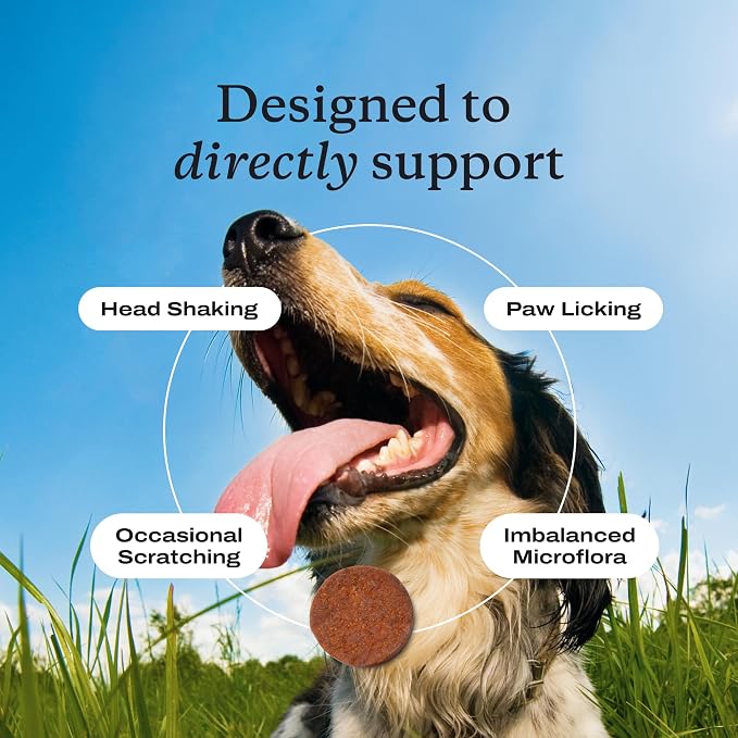 PetLab Co. Allergy & Immune Probiotics - Image 4