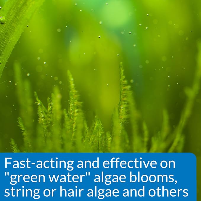 API ALGAEFIX Algae Control 1.25-Ounce Bottle - Image 3