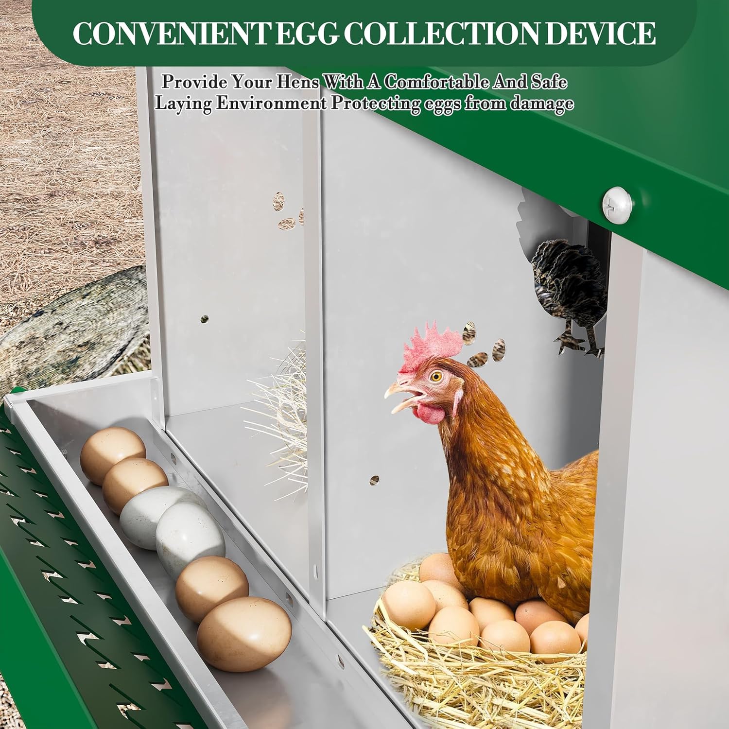 8 Hole Chicken Nesting Box with Roll Out Egg Tray, Rustproof & Ventilated Chicken Laying Boxes for Hens, Chickens, Ducks | Easy-Clean Poultry Coop Accessories