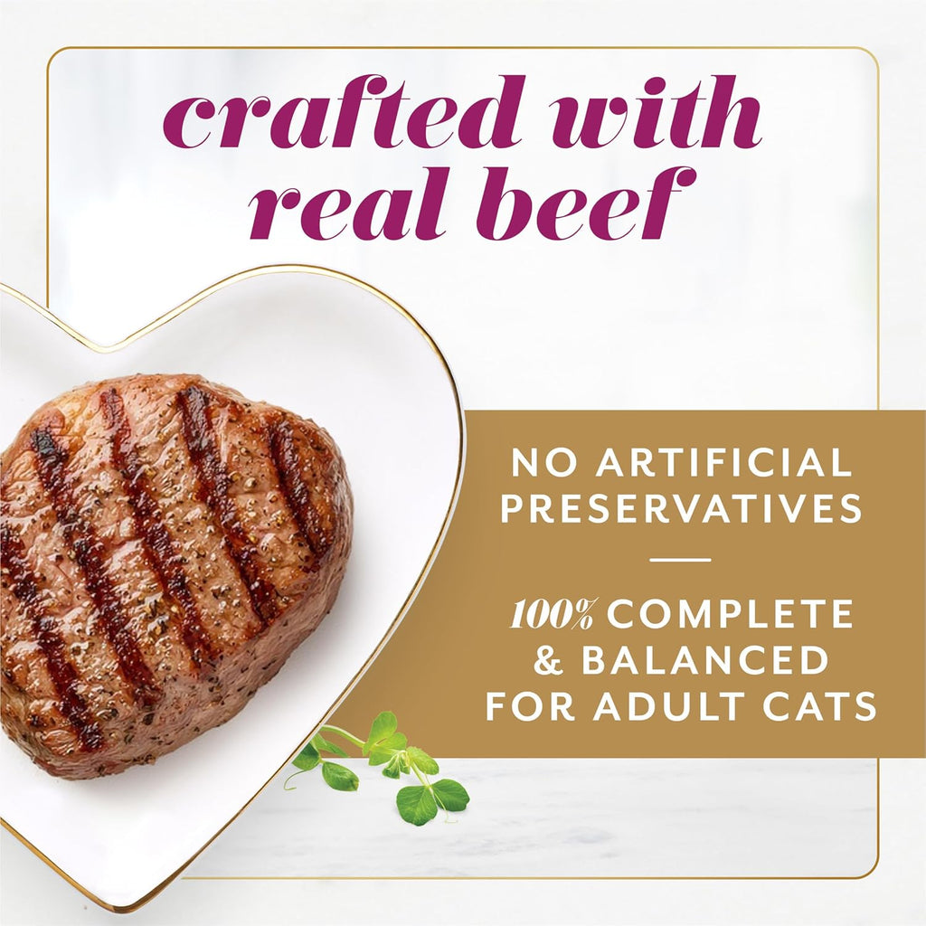 Fancy Feast Gems Pate Cat Food Mousse with Beef and a Halo of Savory Gravy Cat Food - (Pack of 8) 4 oz. Boxes