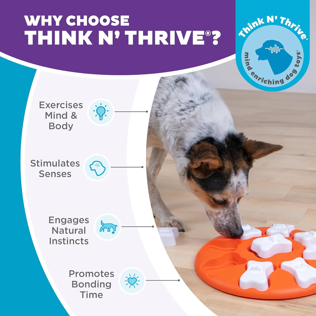 Outward Hound by Nina Ottosson Dog Smart Treat Puzzle Enrichment Toy, Level 1 Beginner, Orange