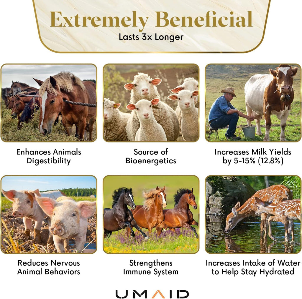 UMAID Himalayan Salt Lick 6 lbs. on Rope for Horses, Deer, Goats, Cow, Sheep, Cattle, Alpacas, and Livestock – Mineral Horse Treats, Natural Himalayan Rock Salt Block for Deer and Horses, 4 Pack