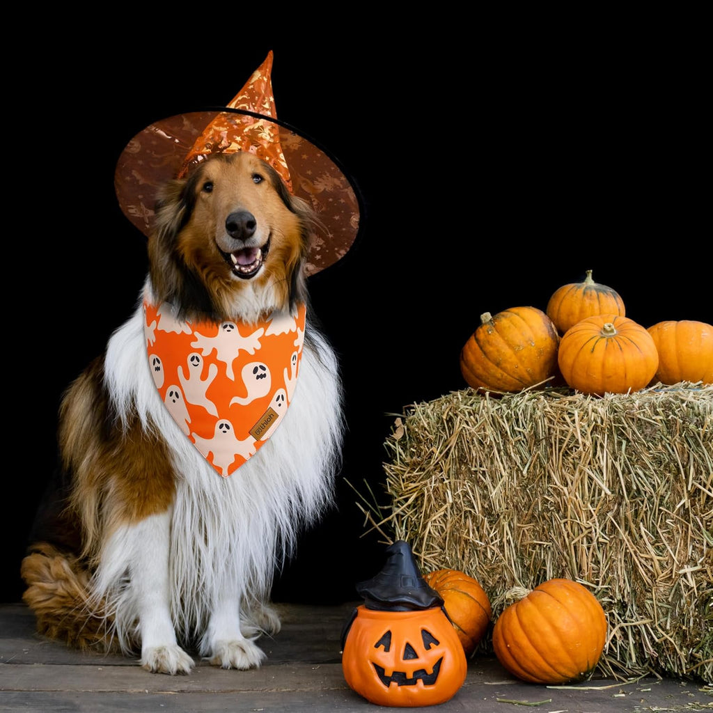 Halloween Dog Bandanas - 2 Pack Fall Dog Bibs | Reversible Pumpkin and Ghost Pet Scarf for Boys and Girls | Premium Durable Fabric | Orange Dog Bandana for Medium and Large Dogs (Large)