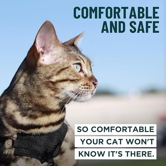 Houdini™ Escape Proof Cat Harness and Leash Set by OutdoorBengal – Red - Image 4