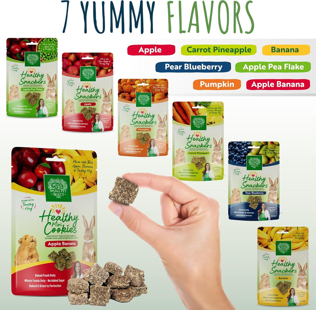 Small Pet Select Healthy Snackers Mini Cookies- Apple Banana, 2 oz (Pack of 2)