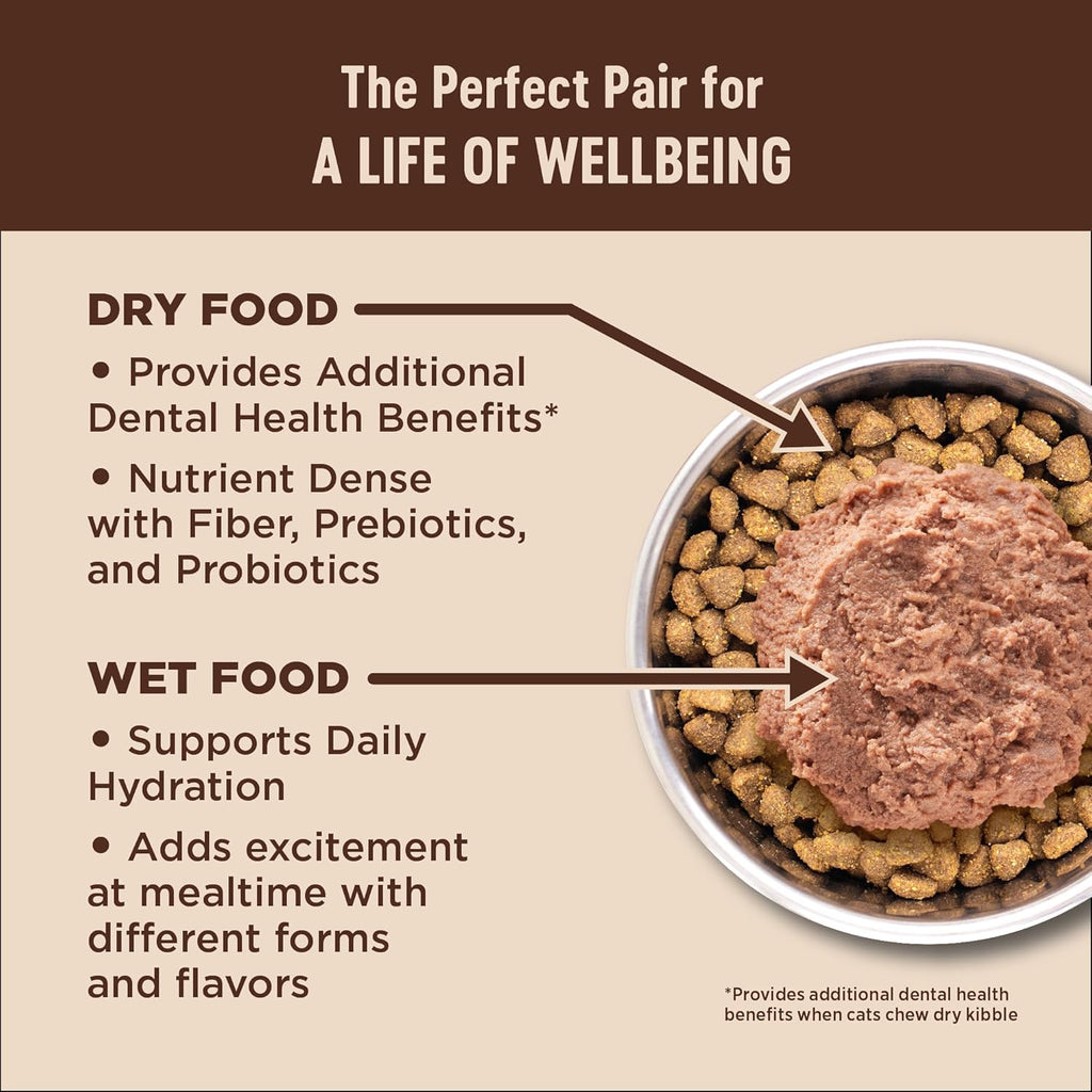 Wellness CORE+ Adult Dry Cat Food for Indoor and Outdoor Cats, Wholesome Grains, Natural, Digestive Health Salmon & Rice (11 Pound Bag)