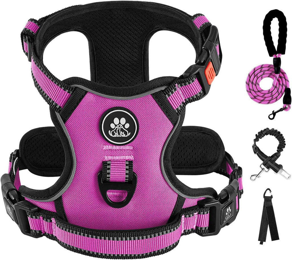 IVY&LANE No Pull Dog Harness for Large Dogs, Dog Vest Harness with Leash, Safety Belt and Storage Strap, Fully Adjustable Harness, 360° Reflective Strip, Soft Handle (Fuchsia Pink, XL)