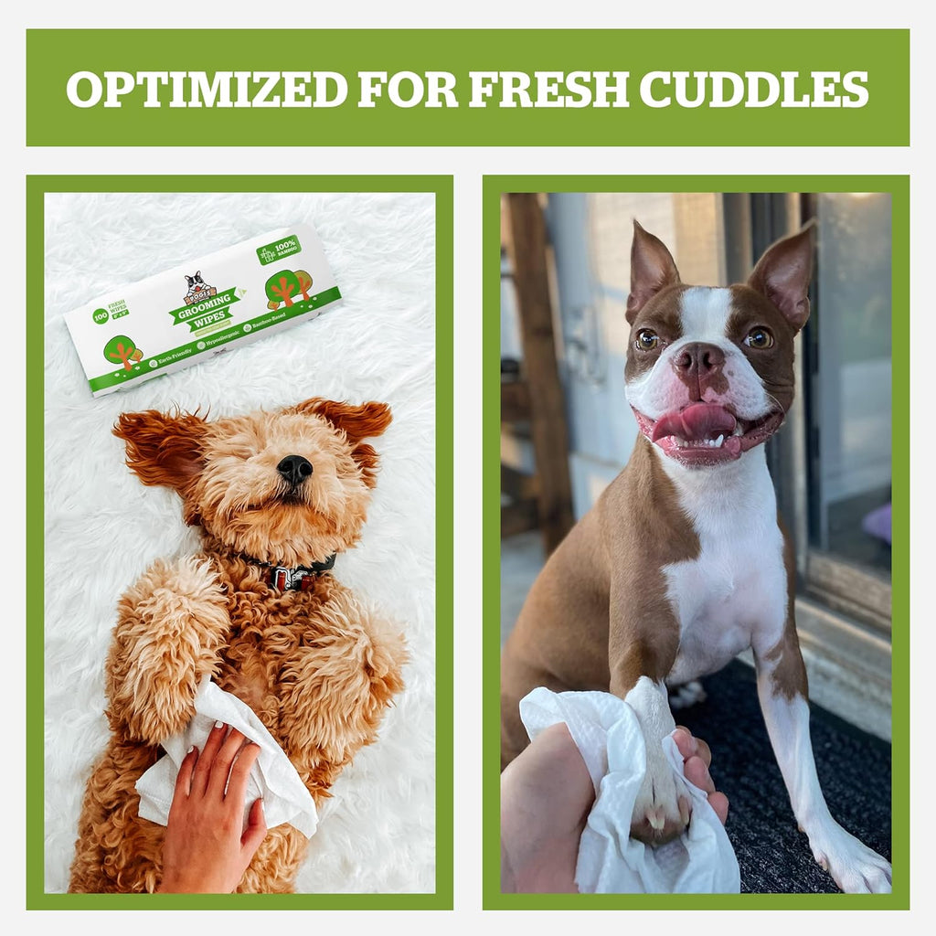 Pogi’s Dog Wipes Travel Packs – Hypoallergenic Pet Wipes for Paws, Body & Butt – Cleaning & Hydrating, Fragrance Free, 240-Count