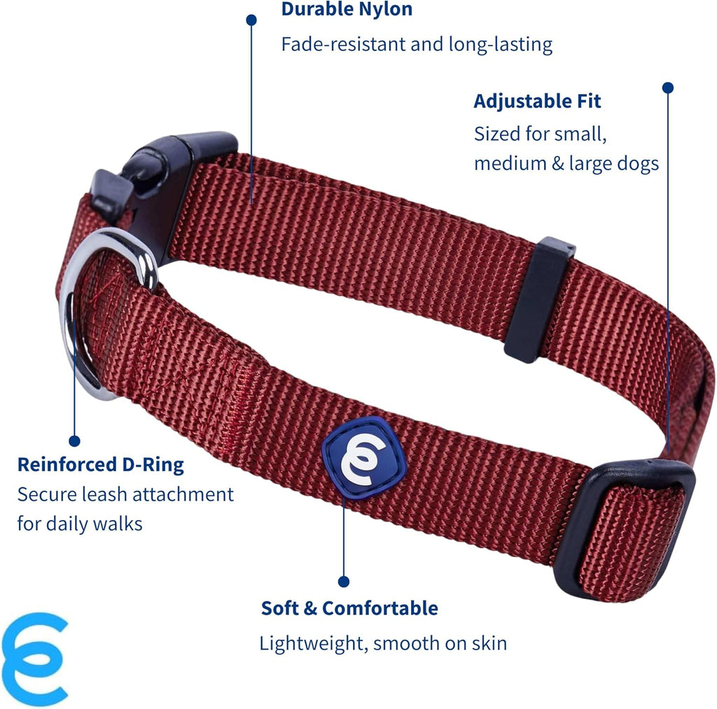 Blueberry Pet Essentials Small Dog Collar | Fired Brick Nylon Dog Collar with Quick Release | Girl & Female Dog Collars for Fall