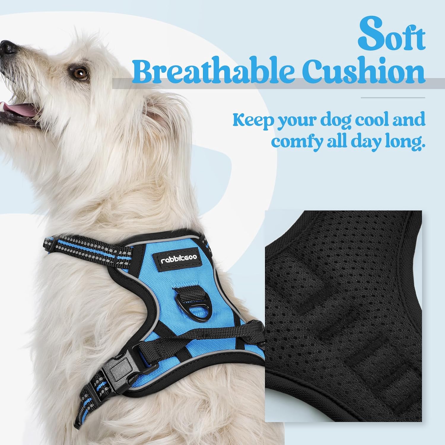 rabbitgoo Dog Harness No Pull with 2 Leash Clips, Adjustable Soft Padded, Reflective Oxford No Choke Pet Vest with Easy Control Handle for Puppy, Blue, XS