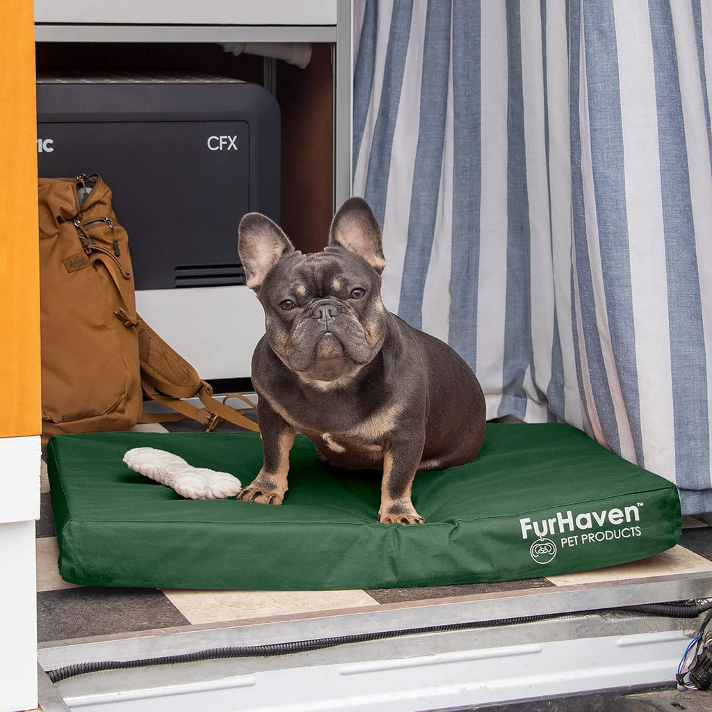 Furhaven Water-Resistant Cooling Gel Dog Bed for Medium/Small Dogs w/ Removable Washable Cover, For Dogs Up to 35 lbs - Indoor/Outdoor Logo Print Oxford Polycanvas Mattress - Forest, Medium