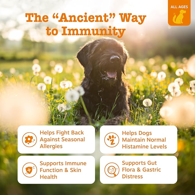 Zesty Paws Ancient Elements Allergy Immune Bites - Image 2
