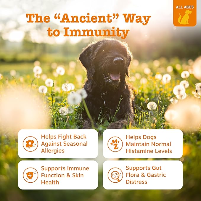 Zesty Paws Dog Allergy Relief - Image 2